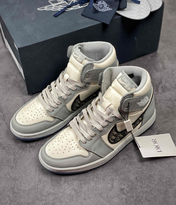 Air Jordan 1 High OG x Dior
