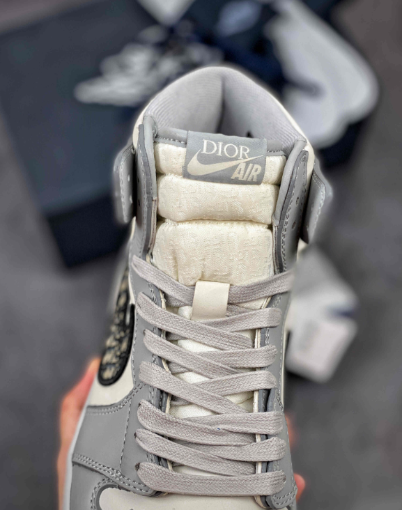 Air Jordan 1 High OG x Dior