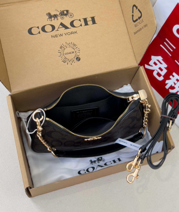 Coach Nolita 19 Shoulder Bag in Signature Canvas