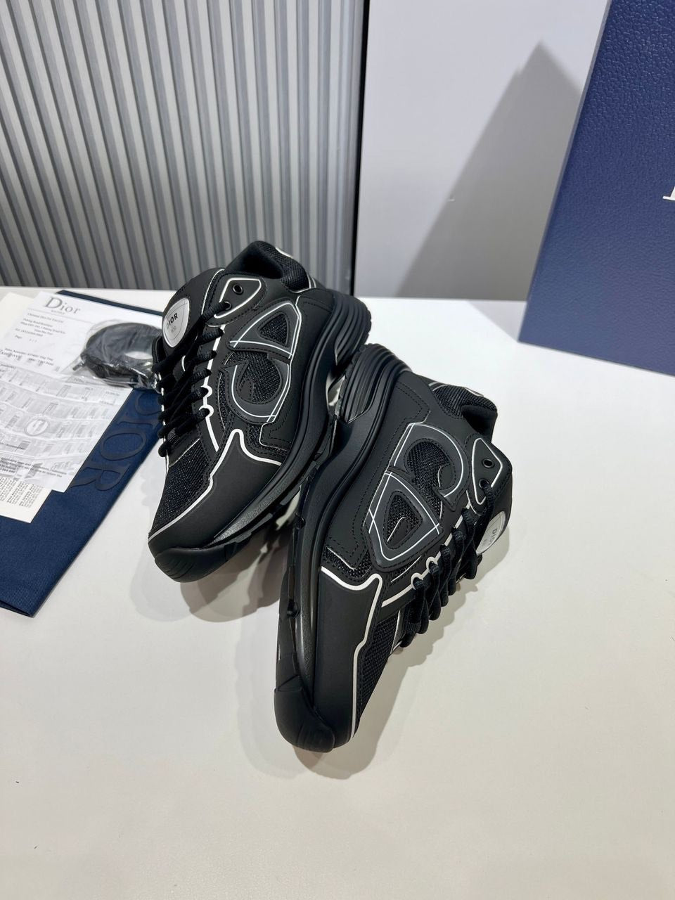 Dior B30 Sneaker