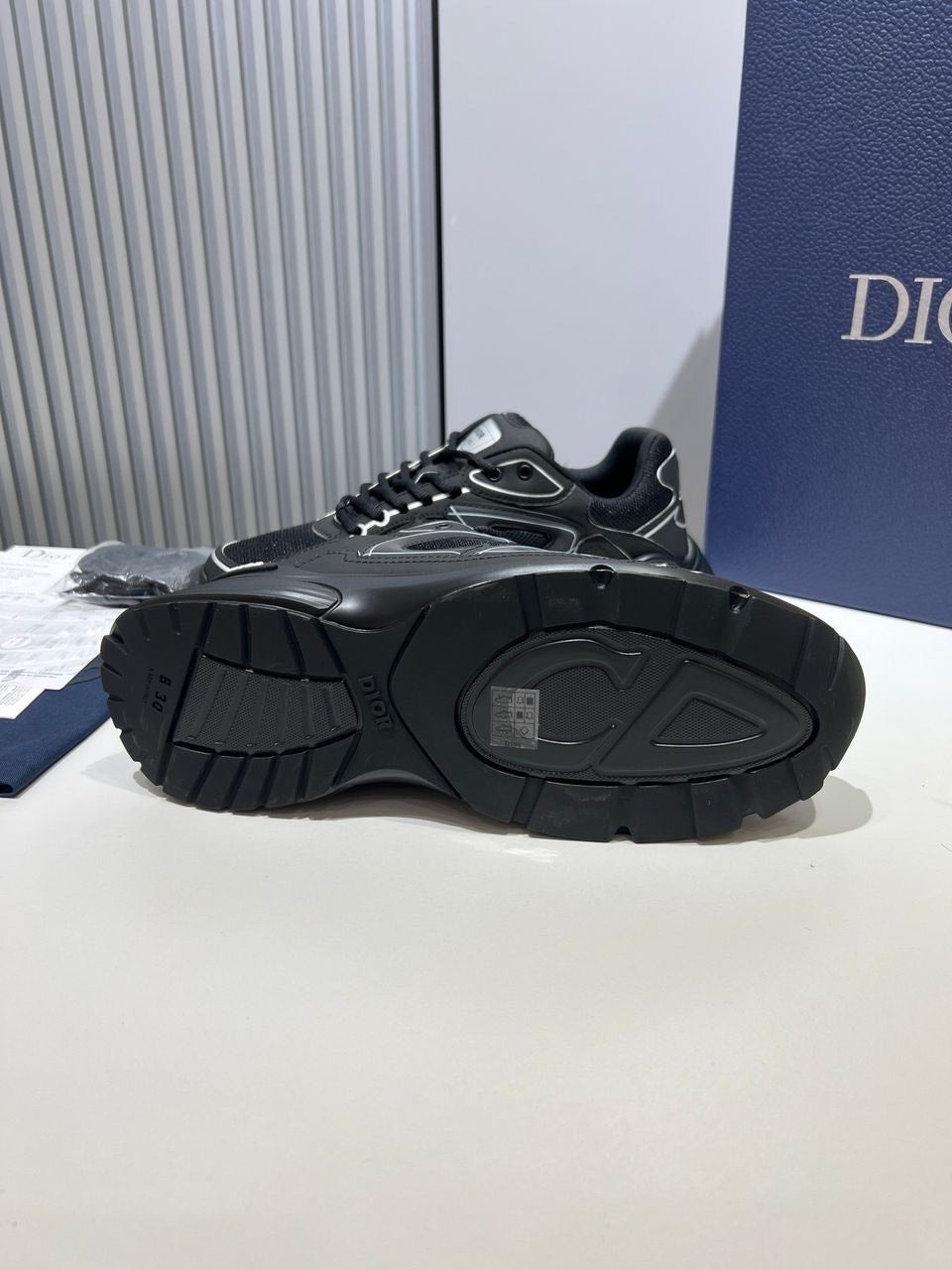 Dior B30 Sneaker